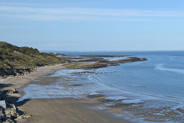 British Coastline Exposed Reef - Isle of Wight