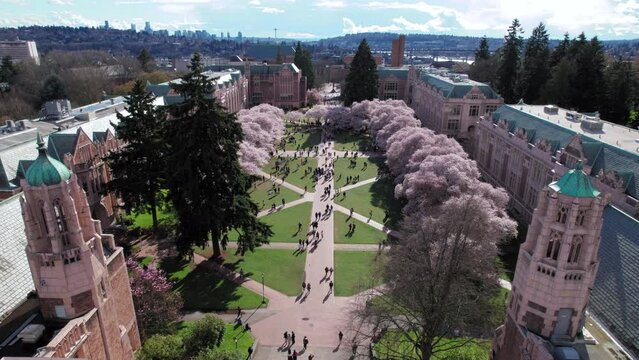 College Campus Quad Cherry Blossoms Aerial with City Background
