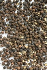 black pepper corns isolated on white background