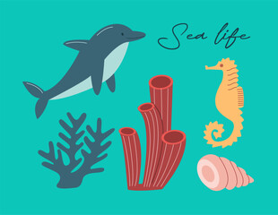 Vector sea life poster with lettering sea life and shell, seaweed, seahorse, corals, dolphin.