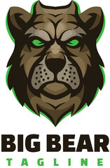 illustration of a bear