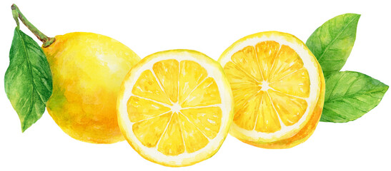 横並びのレモン　カットレモンと輪切りのレモンと葉つきレモンの水彩画イラスト