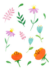 Flowers and plants painted in watercolor, 수채화로 그린 꽃과 식물