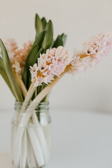 Bouquet of pink hyacinths in a glass vase on a white background