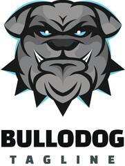 bulldog mascot