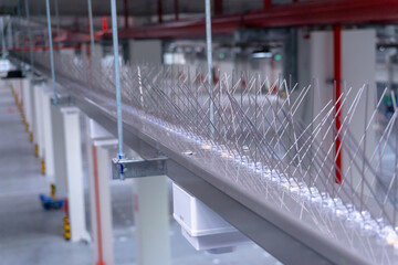 anti bird plastic spike installed on top of wire way inside warehouse for protecting building from...