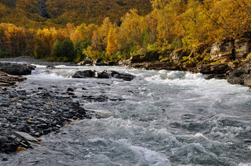 Flowing water in autumn. Abisko national park in north of Sweden.
