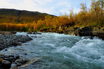 Flowing water in autumn. Abisko national park in north of Sweden.