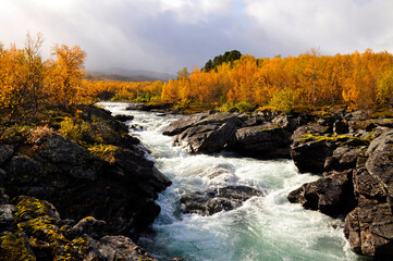 Flowing water in autumn. Abisko national park in north of Sweden.