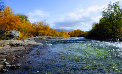 Flowing water in autumn. Abisko national park in north of Sweden.