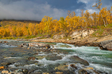 Flowing water in autumn. Abisko national park in north of Sweden.