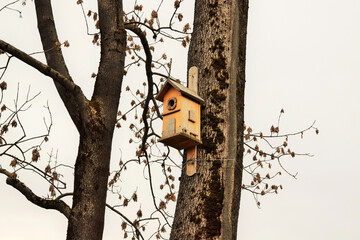 bird feeder on a tree in a park