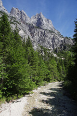 Fototapeta premium A path through Berchtesgaden National park from Ramsau to Weissbach bei Lofer