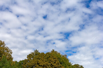 Fototapeta na wymiar panorama of the sky and clouds on a sunny day, the natural state of the weather.