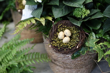 Easter plant arrangement 