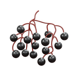 3d minimal rendering summer fruit elder berry