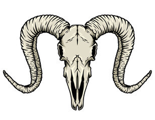 Illustration of a goat's skull on a white background. You can add text as needed. © Moa.Vision
