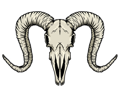 Illustration of a goat's skull on a white background. You can add text as needed.