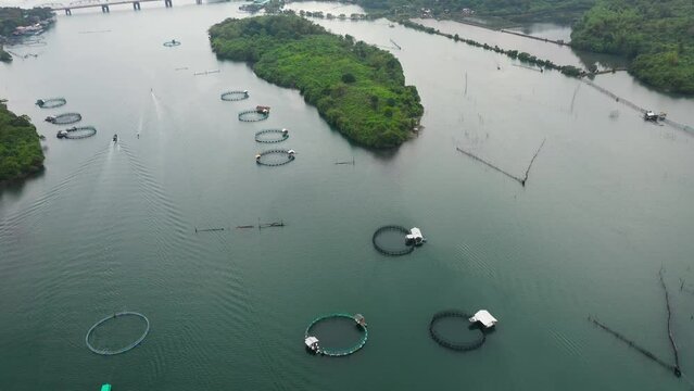 Fisheries on Luzon Island, Philippines. Fish farm, top view. Aerial view of fish ponds for bangus, milkfish.