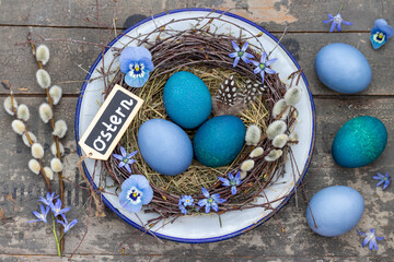 Osternest mit blau gefärbten Eiern und Frühlingsblüten als Osterdekoration