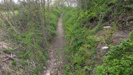 Fototapeta premium Europe, Italy, Milan - Water emergency and drought in Lombardy, lack of water for irrigation of cultivated fields - drone view of rice fields with no water - agriculture and dry land