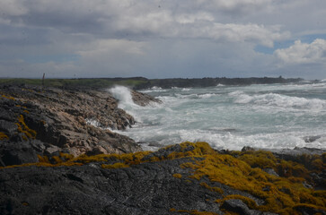 waves crashing on rocks
