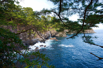 Scenery near Izu Kogen coast on the Izu Peninsula
Travel to the tip of the Izu Peninsula, battered by the rough waves of the Suruga Bay and cliffs, during the start of spring with fresh green