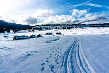 2023 01 14 Marcesina snowy landscapes