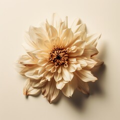 Peaceful Beige Flower Blossom on Cream Background - generative AI