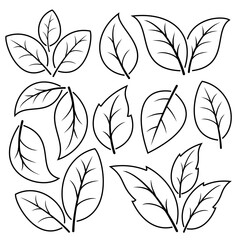 Set of leaf icon, black line on white background