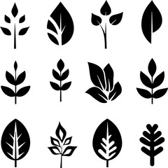 Leaf line icons, vector leaves logo design 