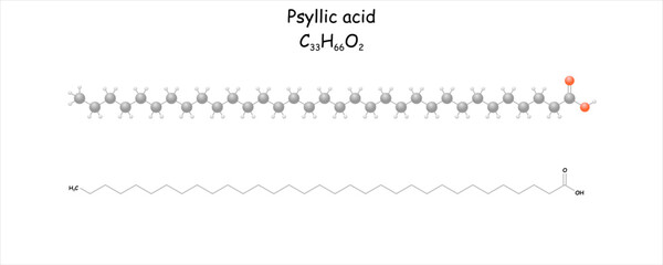 Stylized molecule model/structural formula of psyllic acid. Substance is present in chinese wolfberries (goji berry, Lycium barbarum).