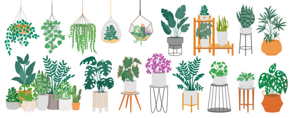Indoor plants with decorative greenhouse elements. Green plants standing in pots on shelves, hanging in planter, macrame at cozy interior isolated on white background. Vector set - obrazy, fototapety, plakaty