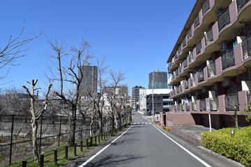 Obraz na płótnie Canvas Residential area of Greater Tokyo area (Fujimino, Fujimi City, Saitama Prefectre, Japan)