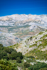 Typical Andalusian mountain landscape near the city of Ronda.