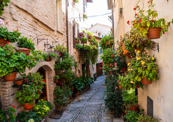 Fototapeta na wymiar alley with flowers in the town of Spello