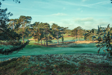 England - Dorset - landscape view of a golf course