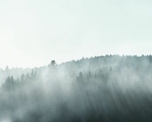 Fototapeta premium Beautiful view of a hill with trees covered in fog in New Brunswick, Canada