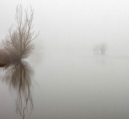 Landscape of a lake surrounded by trees covered in the fog on a gloomy day