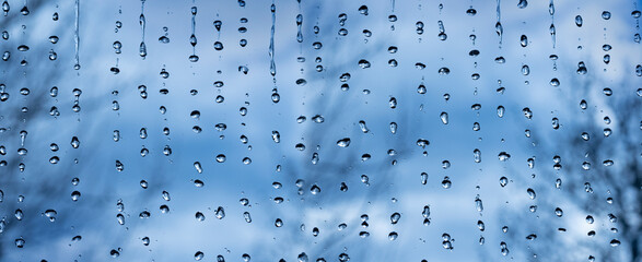 Macro photography of rain, abstract photography