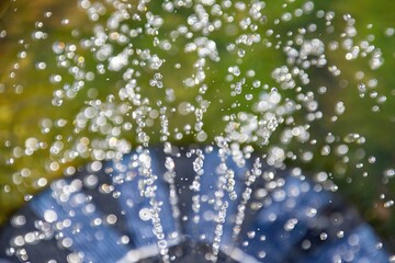 Closeup shot of a garden sprinkler outdoors watering the flowers