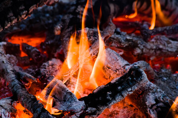 A warm, glowing campfire with orange flames and logs crackling in the heat.