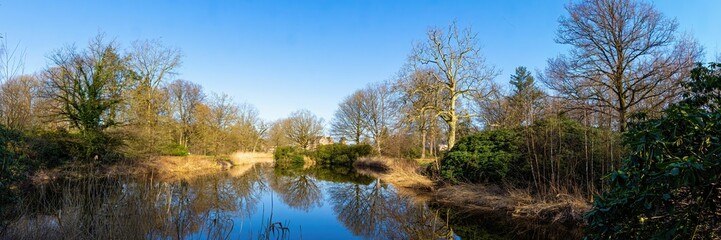 Fototapeta na wymiar Panoramic shot of green trees around a still pond reflecting the beauty of the blue sky