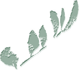 Leaf with Shadow Isolated