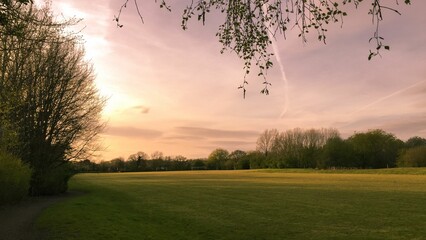 Gorgeous sunset over a quiet park