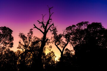 Fototapeta premium Liminal sticks Serpentine