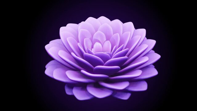 3D animated infinitely blooming purple lotus flower isolated on dark background - seamless looping