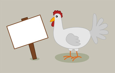 A white chicken with a billboard on a colored background