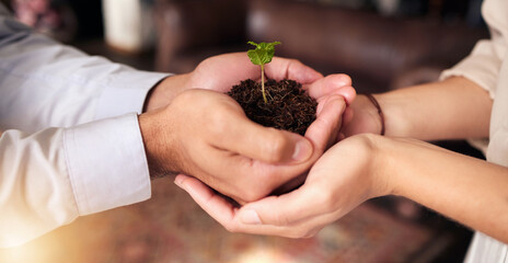 Plant in people or partner hands for business growth, eco friendly development and sustainability...