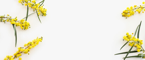 Obraz premium Top view image of spring yellow mimosa flowers composition over white background